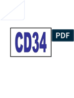 CD 34