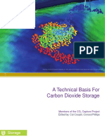 A Technical Basis For Carbon Dioxide Storage