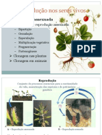 Reprodução assexuada e sexuada nos seres vivos