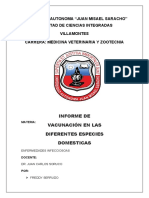 Informe de Vacunación en Las Diferentes Especies Domesticas (Recuperado Automáticamente)