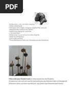 Download Ciri Pithecanthropus by Iska_Widia_Ren_7424 SN57191841 doc pdf