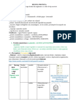 Protista - Schița Lecției