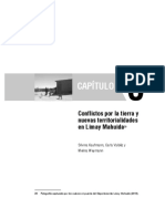 Conflictos Por La Tierra y Nuevas Territorialidades en Limay Mahuida