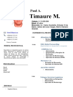 Curriculum-Vitae Paul Timaure