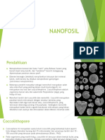 Nanofosil 1
