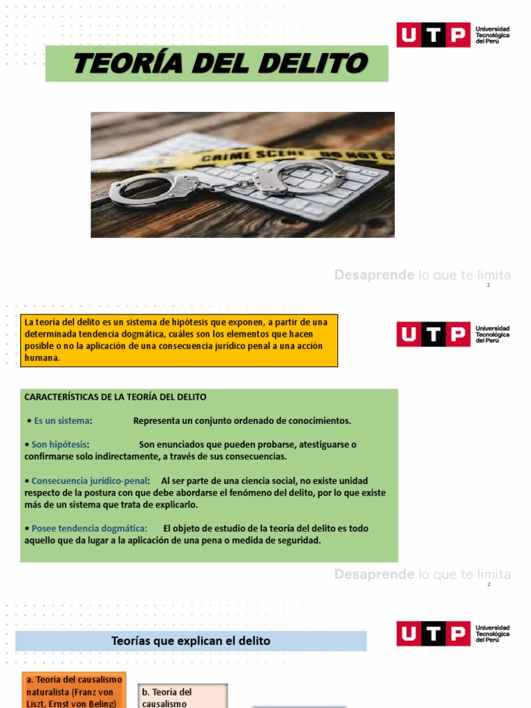 Elementos de la Teoría del Delito | PDF | Ley Pública | Derecho penal
