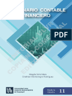 Diccionario Contable Financiero - Términos NICNIIF