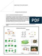 Tarea Guia 6 Desarrollo Embrionario