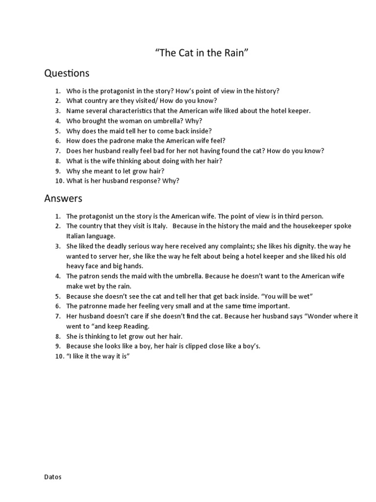 "The Cat in The Rain" Questions PDF Ernest Hemingway
