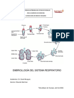 Sist Respiratorio Embrio