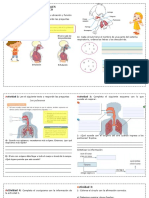 Ciencias Naturales 1 Los Pulmones