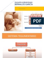 CLASE #4 SISTEMA TEGUMENTARIO.1pptx