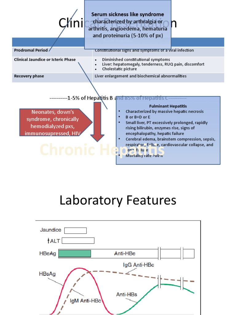 Clinical Features of Hepatitis Types | PDF | Hepatitis | Hepatitis B