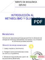 Teor 7 Metabolismo y Glucolisis 2019