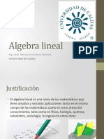 Algebra Lineal 1