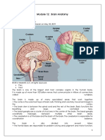 ELS 102 Theories of Language Module 12-15