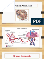 Sirkulasi Darah Janin