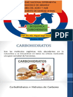 Bioquimica Carbohidratos
