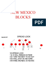 NEW MEXICO BLOCKS