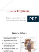 Trigemino