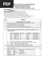 Cs Sample Papers Raipur Region (1)