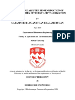 Micro-Algae Assisted Bioremediation of Simulated Dairy Effluent and Valorization