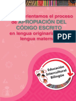 Cómo Orientamos El Proceso de Apropiación Del Código Escrito en Lengua Originaria Como Lengua Materna