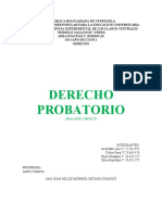 DerechoProbatorioAnálisis