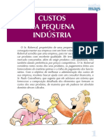 Custos na pequena industria