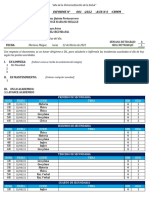 Modelo de Informe de Auxiliar