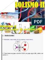 Metabolismo Aminoacidos