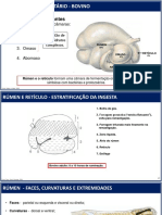 Aparelho Digestivo (Aula) - 3 Parte