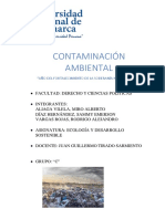 Contaminación Ambiental