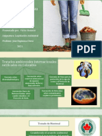 Actividad 1 - Tratados Internacionales