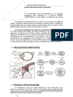 1.4 Grupo7 Glaucoma