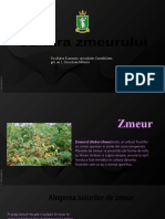 zmeur