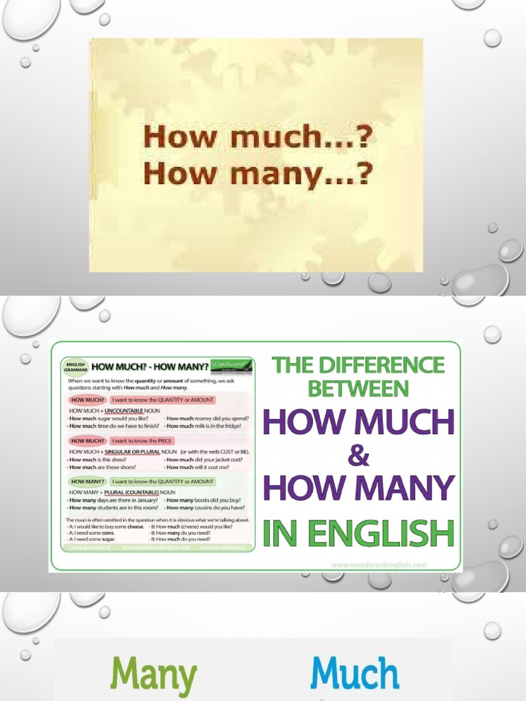 Much Many A Lot of | PDF