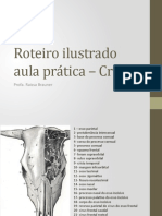 Roteiro Ilustrado Aula Prática - Crânio