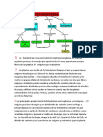 Biologia Taller de Shari