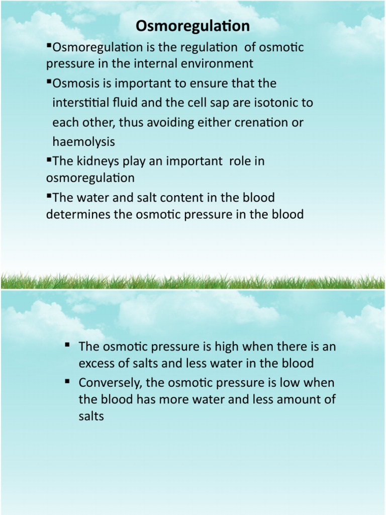 Biology form 5 chapter 3 essay question 06 picture