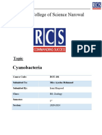 Royal College of Science Narowal: Cyanobacteria