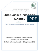 Metalurgia Ferrosa Avtividad Fundamental 4