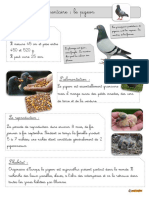 Doc-Pigeon-lecture-et-questions-BDG-b