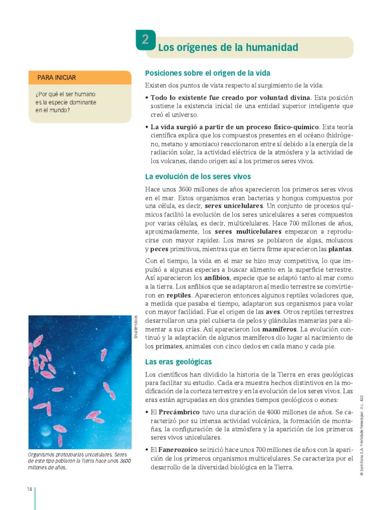 1 Sec Los Origenes de La Humanidad | PDF | Homo | neanderthal