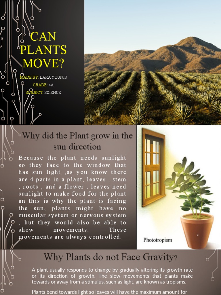 CAN Plants Move? Lara Younis 4A Science PDF