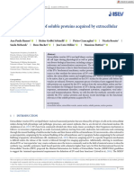 J of Extracellular Bio - 2022 - Ramos - The Functional Role of Soluble Proteins Acquired by Extracellular Vesicles