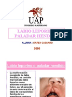 Labio Leporino Paladar Hendido