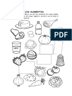 Clasificacion de Los Alimentos