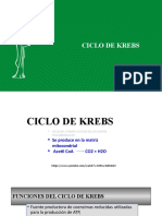 Ciclo de Krebs 2022