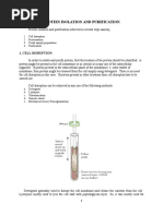 Protein Isolation and Purification